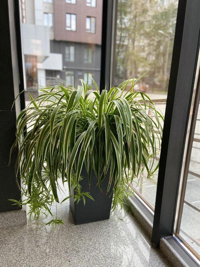 Sky House Central Apartment Кишинів Екстер'єр фото
